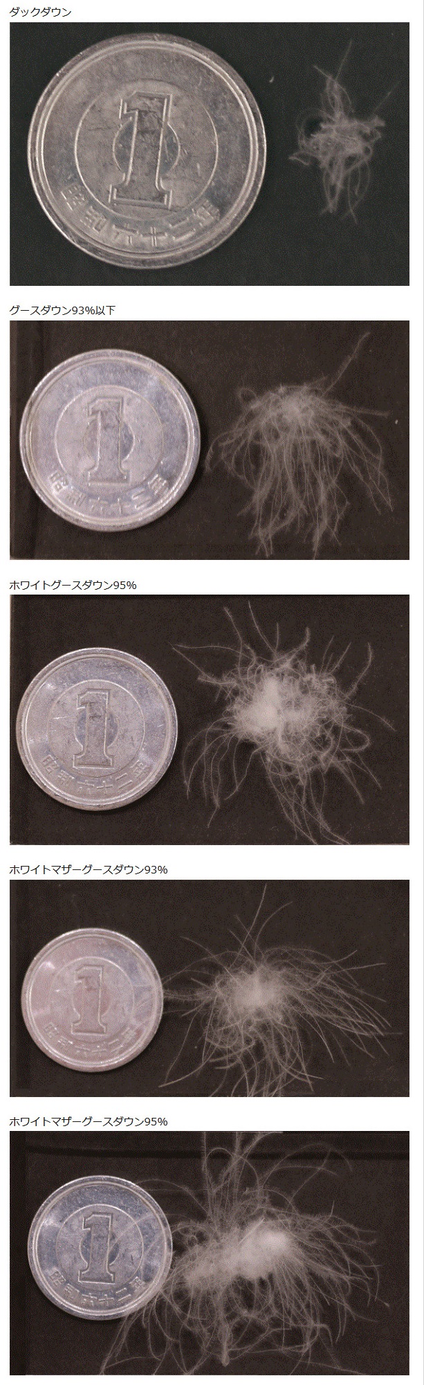 羽毛ふとんの品質はどうやって判断できる 購入前にチェックしておきたい項目をまとめました 寝具専門店半ざむのブログ