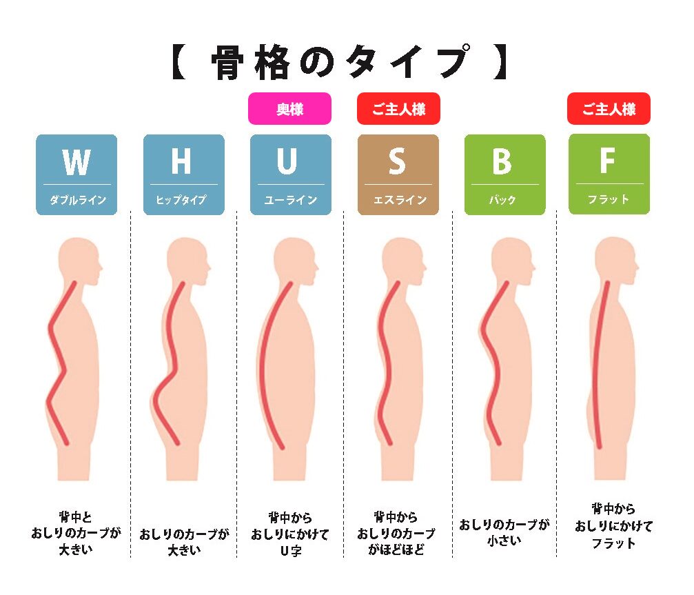 ご主人様は「Sライン（ややフラット気味）タイプ」奥様は「Hライン（背中はフラット）タイプ」